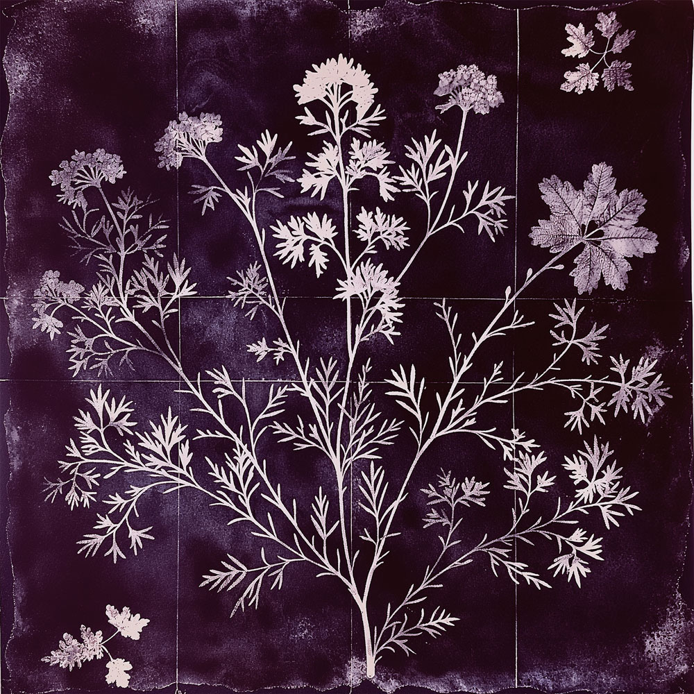 Feuille de papier peint n°10 - Vienna Herbarium