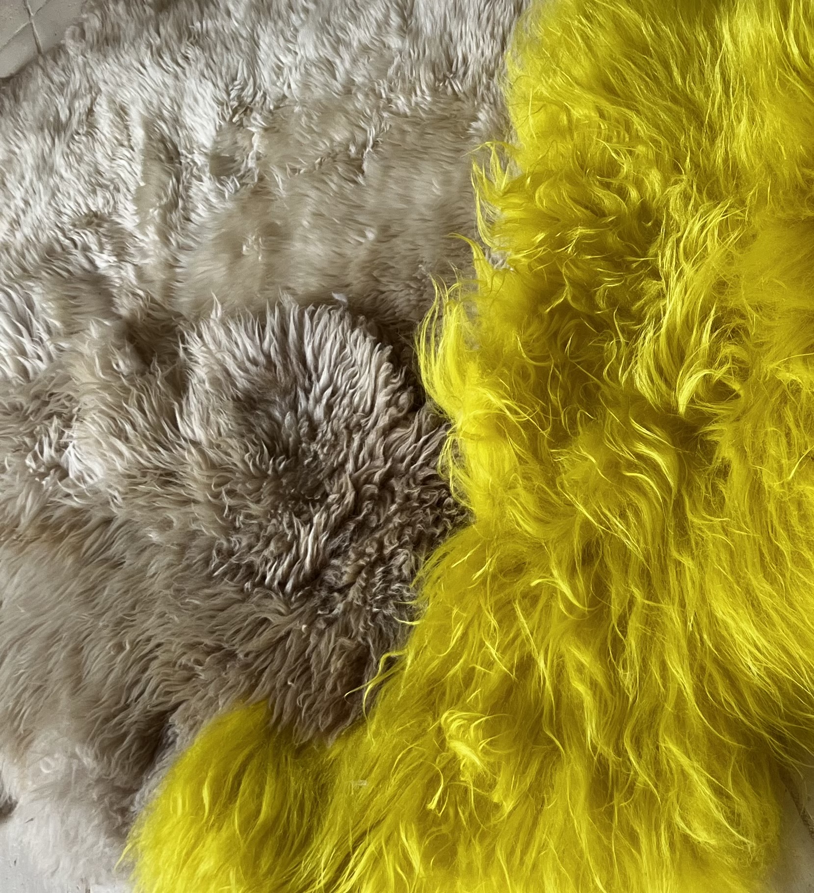 TAPIS SULFIR II création de CARINE BOXY