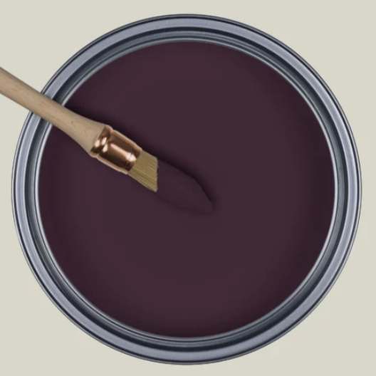 Painting The Curiosity