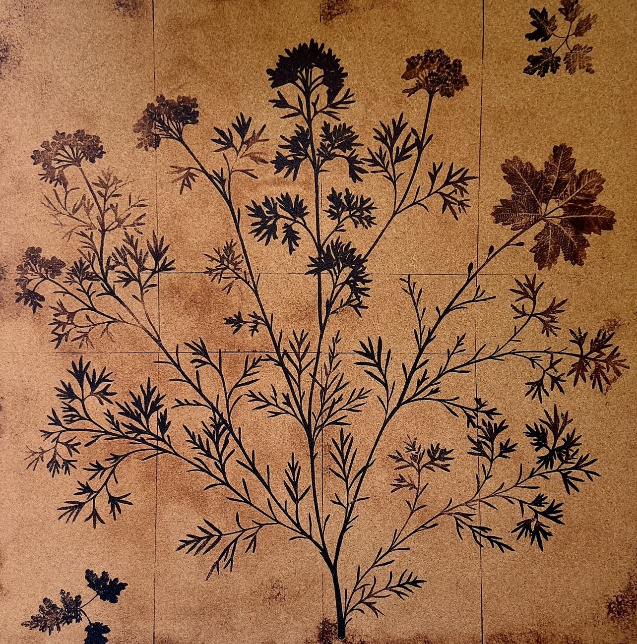 Le liège n°4 : Carré Tolédo