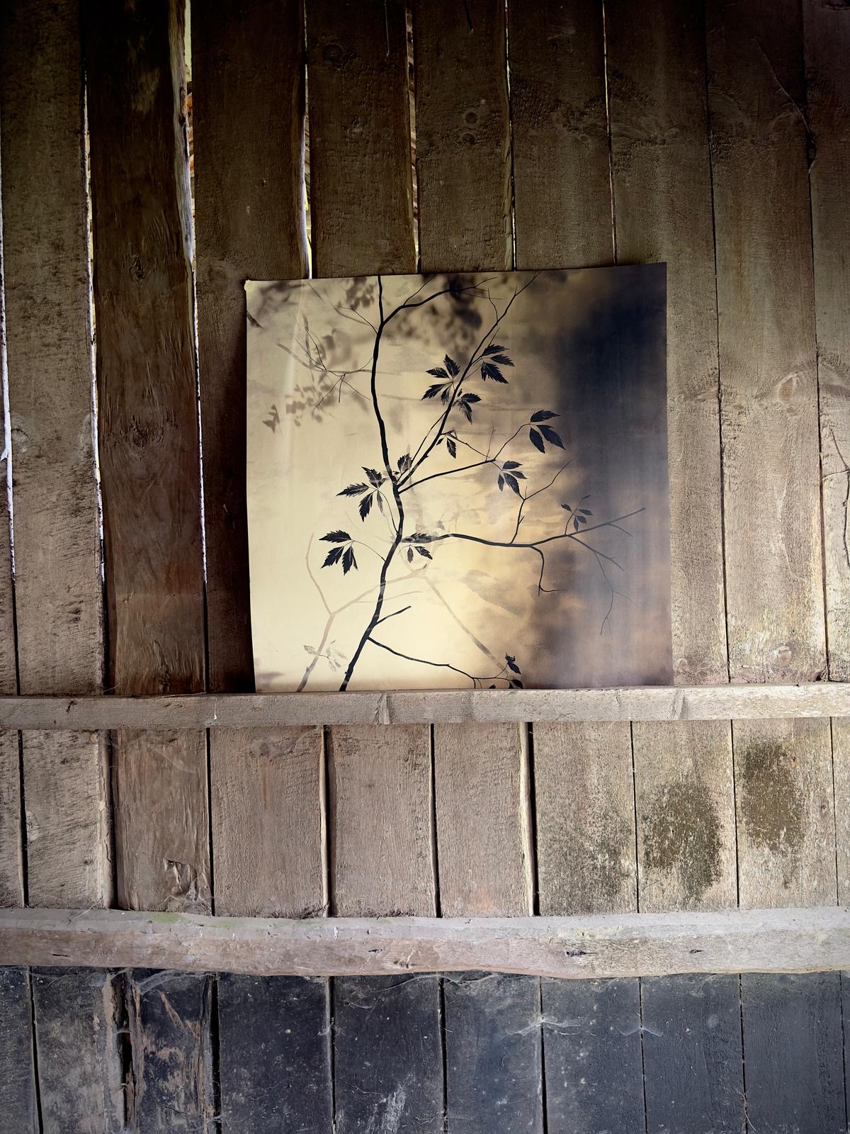 papier peint XL joli jour paris