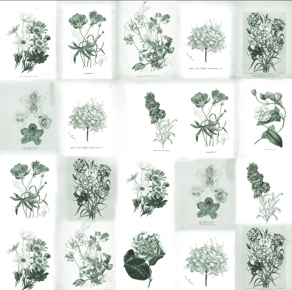 Wallpaper XL n°5 - Venice Céleste