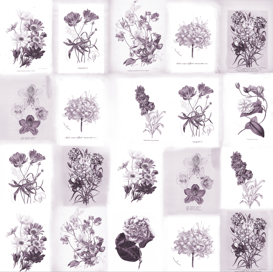 Wallpaper XL n°6 - Venice Céleste