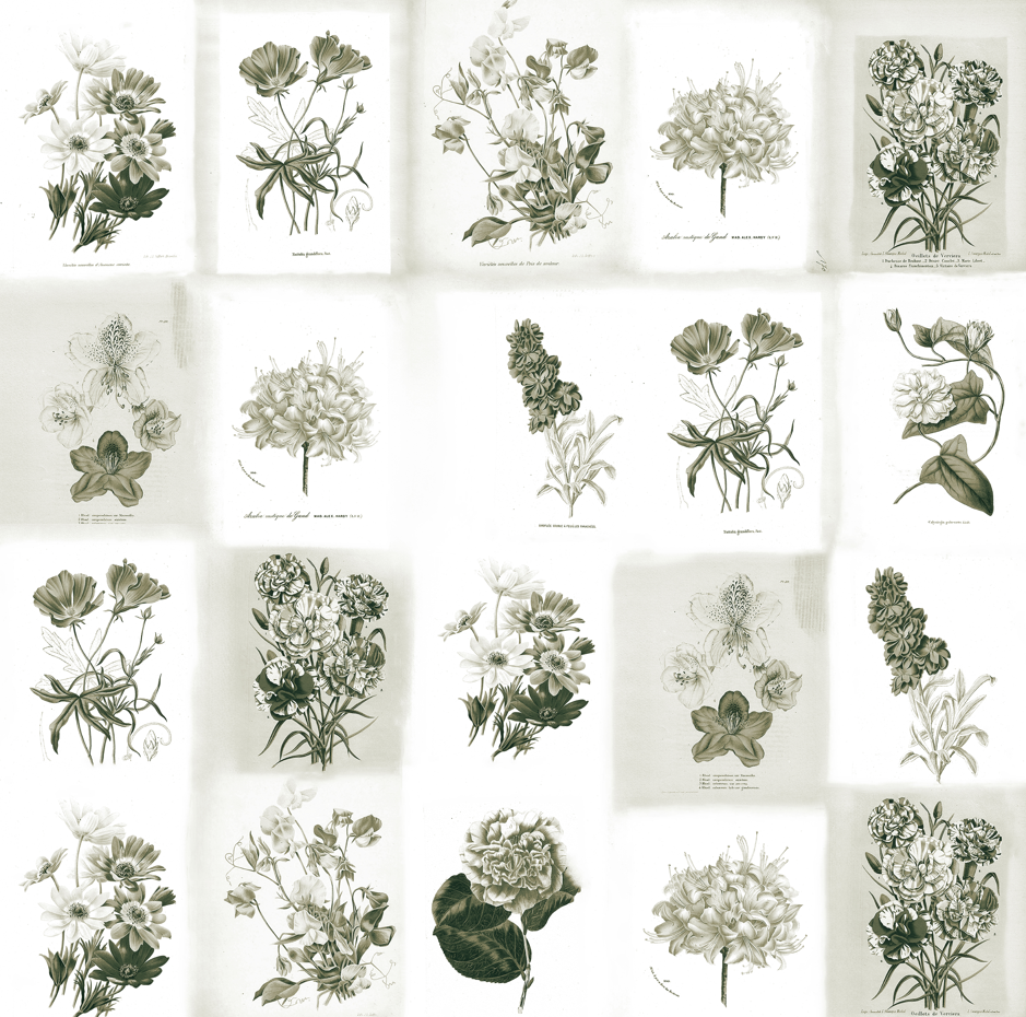 Wallpaper XL n°7 - Venice Céleste