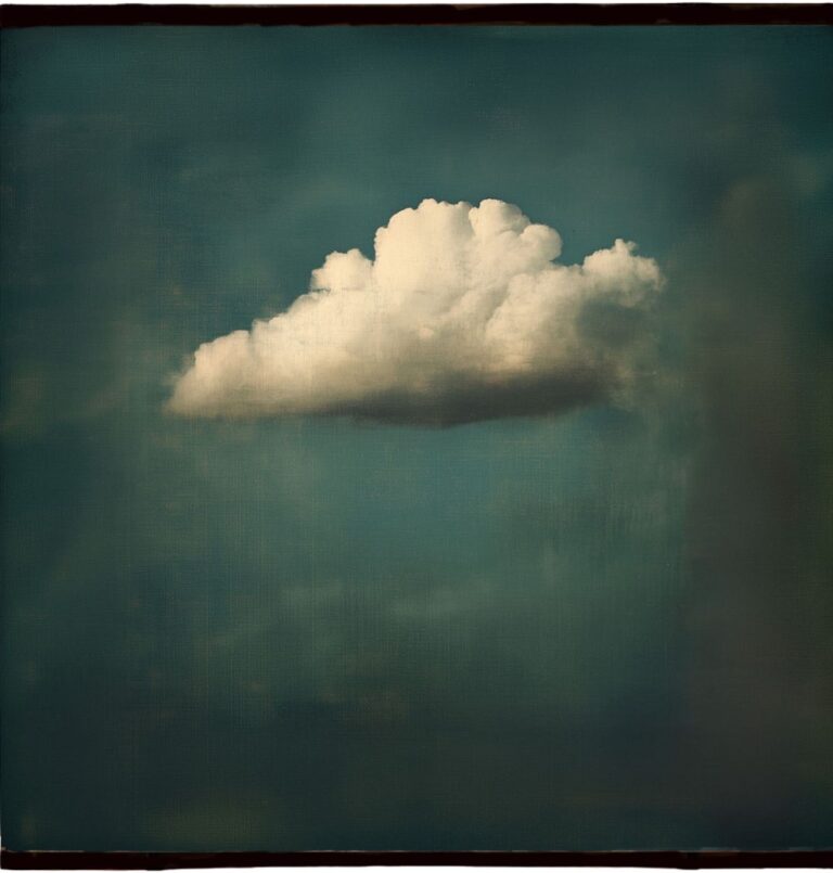 Toile vagabonde n°1 : Le nuage